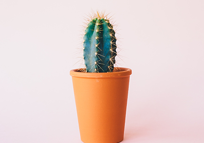  deepseek搜索：你是一名合格的教务主任吗？