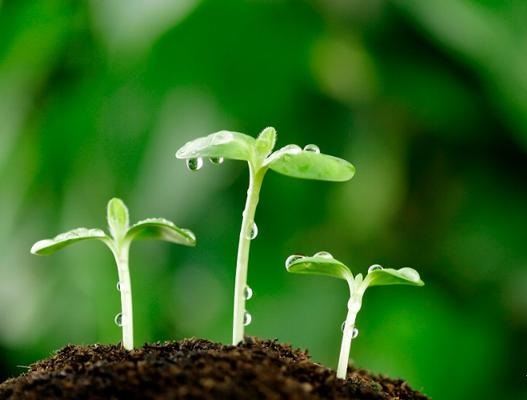  数学，让世界更美好！