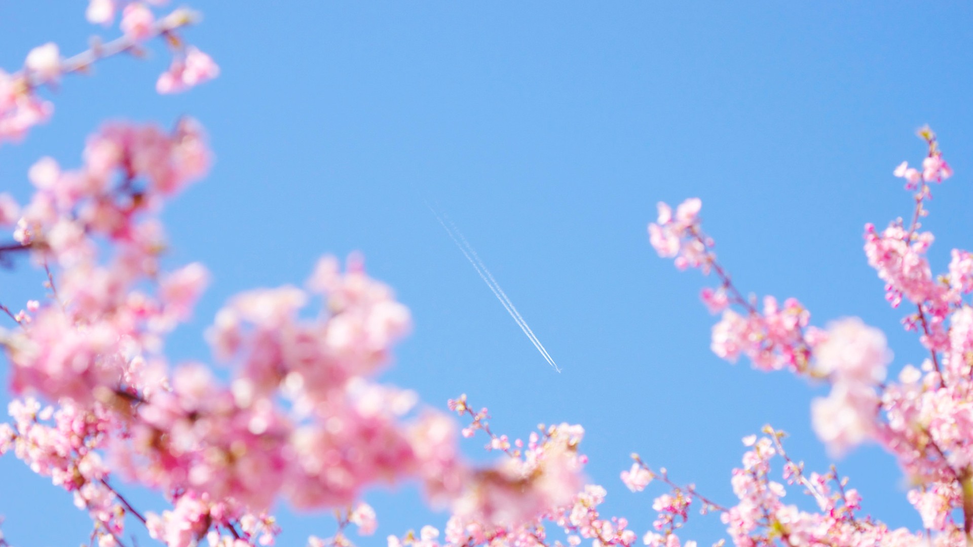  菜鸟云网络科技个性化功能主页价绍