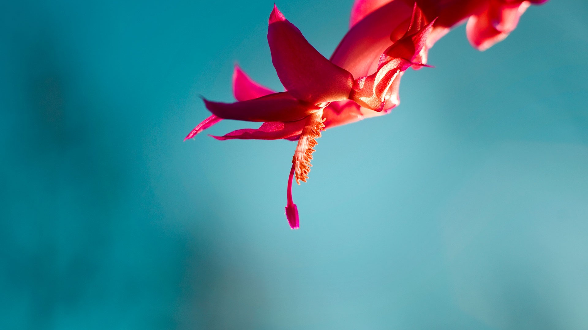  关于做好2025年普通高中学业水平合格性考试统考工作的通知