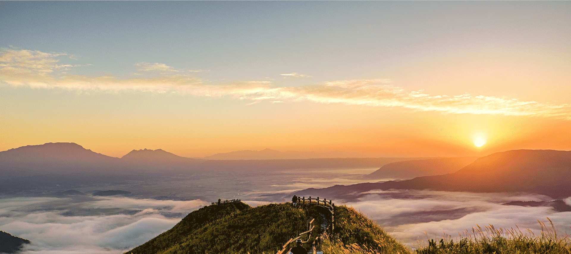  deepseek搜索：中国学生升学发展路径