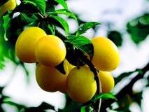  2024年12月工作要点提醒