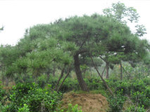  高一高二必看！高中数学学习方法总结！