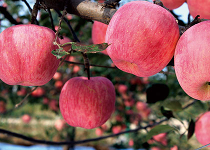  在支付宝买股票的步骤全攻略