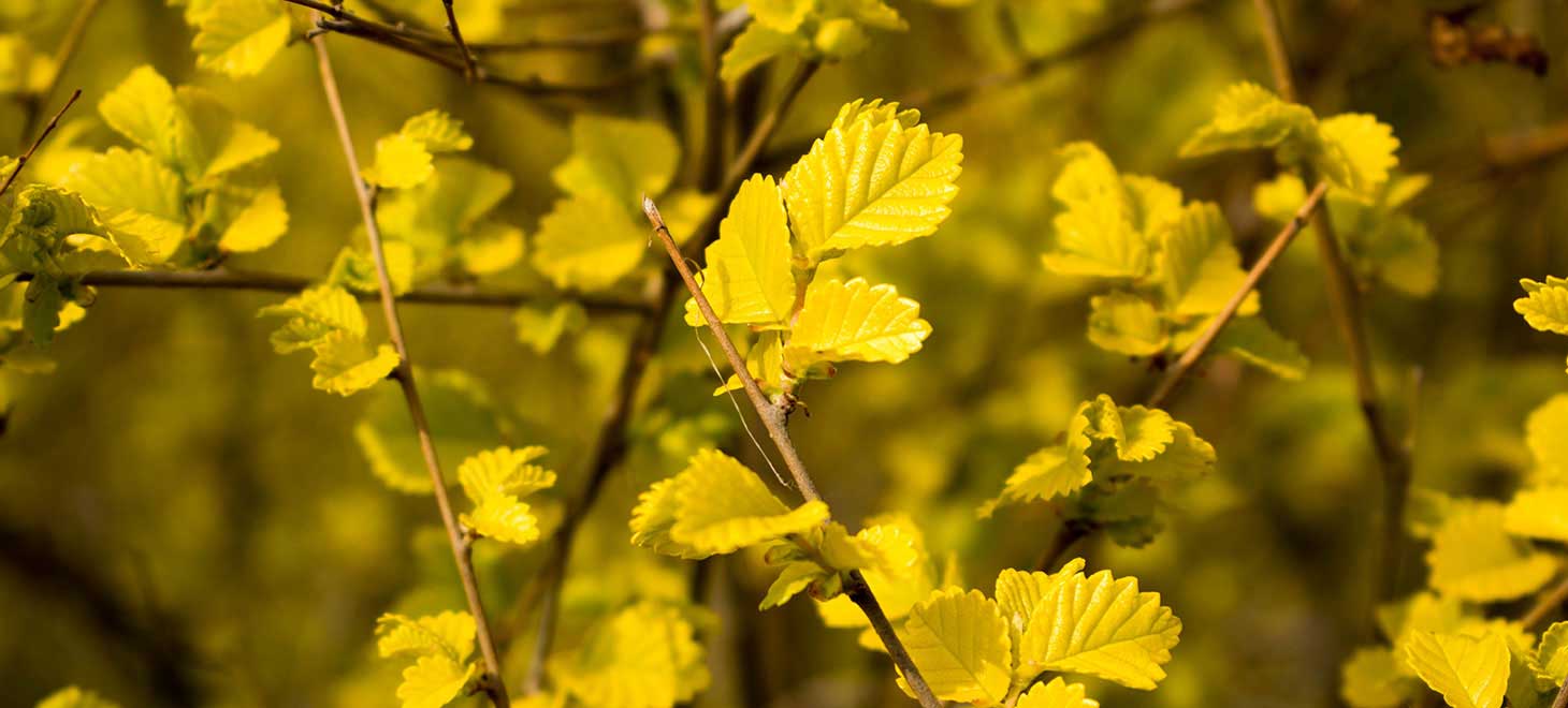  考前一个月，怎样备考更有效？